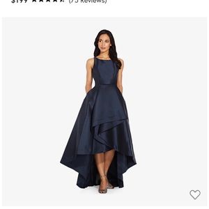 Adrianna Papell gown